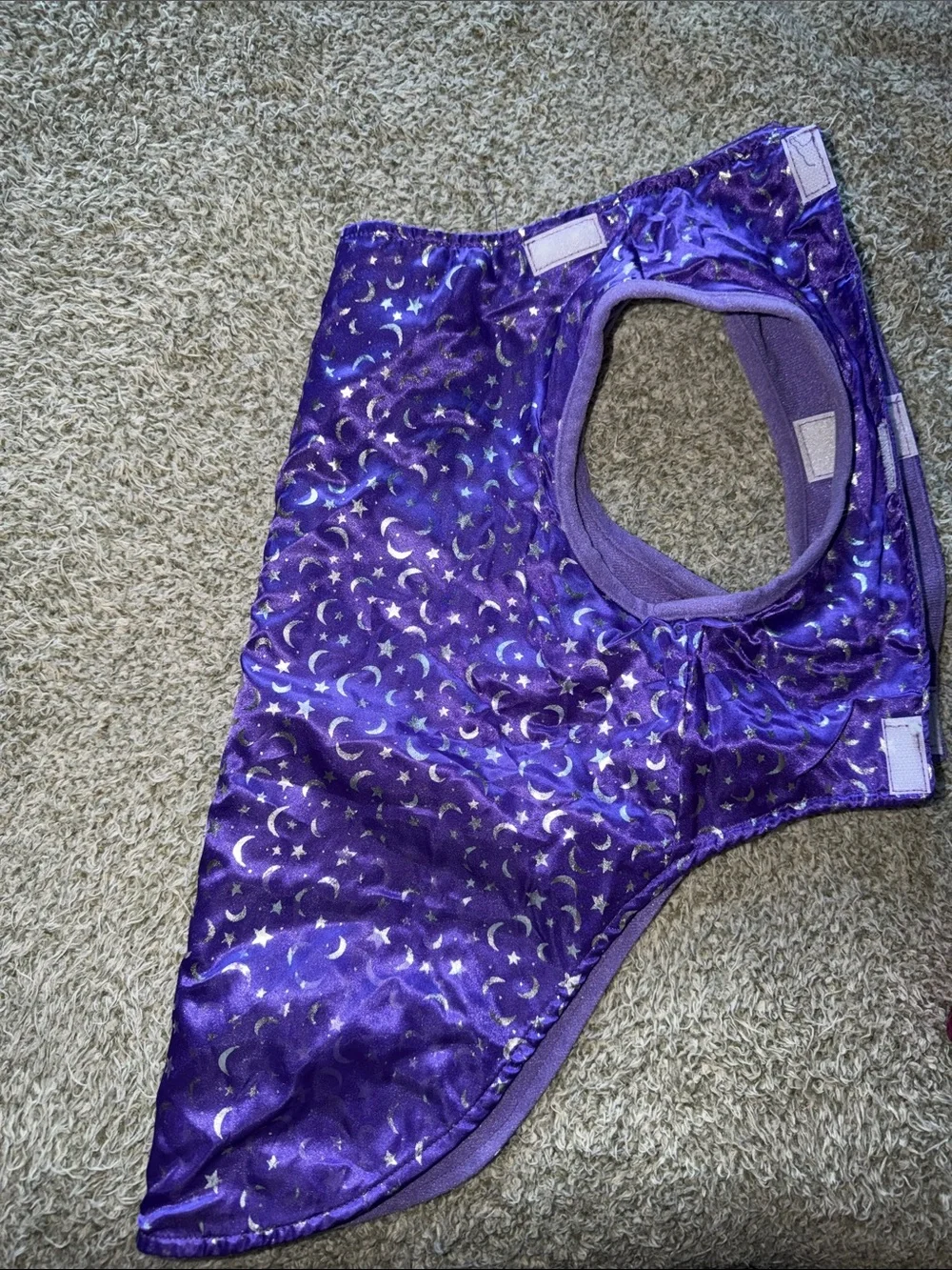 Purple Wizard Dog Costume Cape and Hat Set